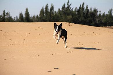 SIE正式完成对Haven工作室的收购